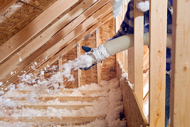 foam sprayed insulation - blowing insulation