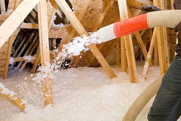 foam sprayed insulation - blowing insulation