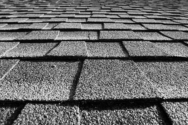 close up of roof shingles black and white