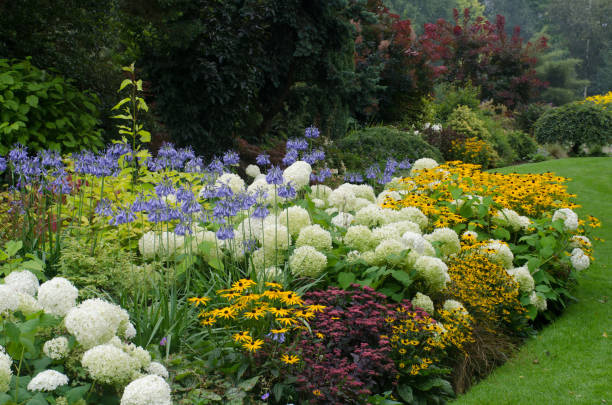 Large English perennial border